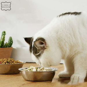 Bol d'eau et de nourriture antidérapant en acier inoxydable pour chien de compagnie - Product Image 5