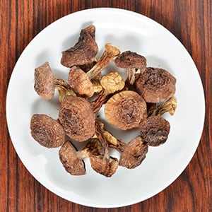 Wholesale Dried Agaricus Blazei <b>Mushroom</b> Hand Picked with High Quality - Product Image 2