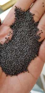 GRAINES DE BASILIC PURE BIOLOGIQUE GRAINES DE BASILIC DE HAUTE QUALITÉ - Product Image 3