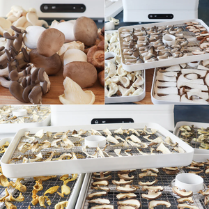 ผงเห็ดออร์แกนิก เกรดอาหารธรรมชาติ สารสกัดจากเห็ด จำหน่ายแบบขายส่ง - Product Image 6
