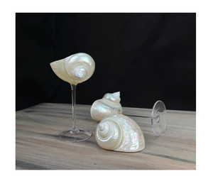 Copa de vino con diseño de concha marina única disponible en diferentes colores para regalos o decoración de eventos - Product Image 2