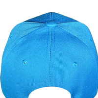 Gorras de Béisbol Unisex de Alta Calidad, Estilo Deportivo Urbano, Logotipo Personalizado Bordado a Mano, Transpirables, para las Cuatro Estaciones, 100% Algodón