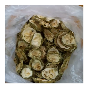 Exportateur du Vietnam fournissant du melon amer soigneusement séché avec des caractéristiques authentiques et une qualité constante pour les acheteurs mondiaux - Product Image 6