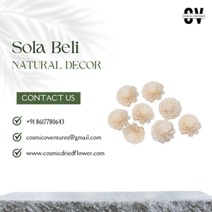 Fleur de sola beli artisanale de haute qualité pour la décoration d'Halloween, les événements de mariage, la maison, le bureau et les arrangements de fleurs séchées - Product Image 6