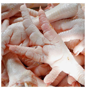 Poulet entier congelé, pattes de poulet congelées / ailes de poulet congelées / poulet et parties de poulet (pattes) à vendre - Product Image 4