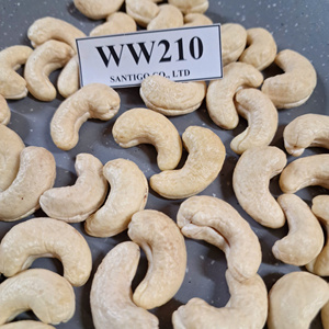 2025ผลิตภัณฑ์ยอดนิยม! ถั่วแห้งเมล็ด & เมล็ดของซันทิโก WW210มะม่วงหิมพานต์คาจู - Product Image 1