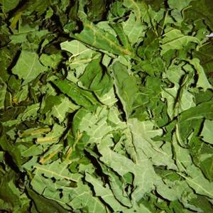 Hojas de papaya secas naturales para ocasiones Día DE LA MADRE Graduación Día de San Valentín Halloween Año Nuevo - Product Image 4