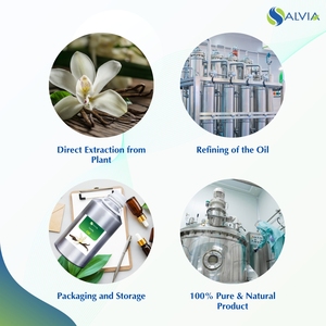 น้ํามันวานิลลาบริสุทธิ์และเป็นธรรมชาติ 100% ขายส่งจํานวนมากราคาต่ําสุดบรรจุภัณฑ์ที่กําหนดเอง - Product Image 4