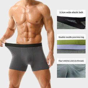 Prix de gros Sous-vêtements pour hommes Boxer Spandex/Polyester Designer Haute qualité Premium Élastique Respirant Antibactérien Séchage rapide - Product Image 3