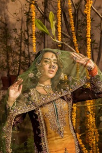 Costumes pour femmes pakistanaises de qualité supérieure, costumes ethniques lourds disponibles en gros, costumes fantaisie pour les fêtes, Mehndhi Mayo - Product Image 4