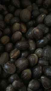 Noix de muscade de qualité supérieure en coque, exportée d'Indonésie, pour additifs alimentaires - Product Image 2