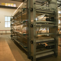 Système d'alimentation automatique pour poulets de ferme en acier galvanisé de haute qualité, cage pour poussins