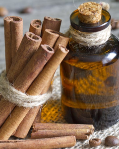 HUILE ESSENTIELLE DE CANNELLE DU VIETNAM / HAUTE TENEUR EN CINNAMALDEHYDE - Product Image 5