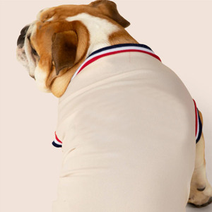 Maillot pour chien de haute qualité vêtements pour animaux de compagnie personnalisables vêtements de sport confortables et élégants pour chiens toutes les tailles disponibles en gros - Product Image 3