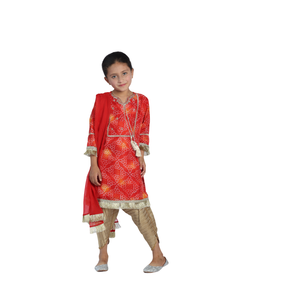 Collection de vêtements indiens et pakistanais Nigah - Product Image 2
