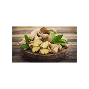 Jengibre para mejorar el metabolismo y quemar grasa - Product Image 5