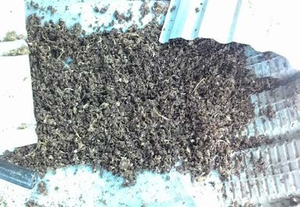 Pâte d'ananas/pâte d'ananas séchée pâte d'ananas séchée de qualité supérieure à haute teneur en protéines pour aliments pour animaux - Product Image 5