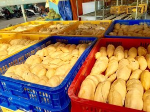 Vente en gros avec prix compétitif surgelés IQF Mongthong Durian Prêt en stock Durian Fruits surgelés à vendre Durian viande fraîche - Product Image 2