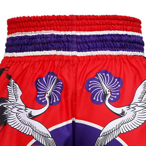 Short MMA de boxe imprimé par sublimation en polyester et coton extensible décontracté pour hommes, vêtements de sport pour arts martiaux - Product Image 6