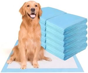 แผ่นรองซับฉี่สำหรับฝึกสุนัข แมว และกระต่าย ขายส่งจากโรงงาน - Product Image 1