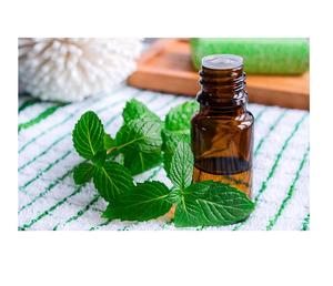 Premium Natural Mentha Oil <b>Bulk</b> Supply High Purity Mint Essential Oil for Aromatherapy Food Flavoring Cosmetic Herbal Ingredient - Product Image 1