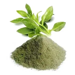 Poudre de Kalmegha biologique à base de plantes sauvages pour remèdes ayurvédiques Désintoxication Supplément stimulant le système immunitaire Meilleure qualité - Product Image 3