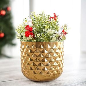 ส่องแสงสดใสเสน่ห์ของชาวสวนทองสำหรับบ้านของคุณต้นไม้เขียวขจีเพิ่มเสน่ห์ด้วยชาวสวนทอง - Product Image 1
