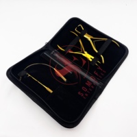 Kit d'accessoires de salon professionnel de haute qualité pour extensions de cheveux en acier inoxydable doré au plasma, avec pinces et aiguilles à crochet, durable