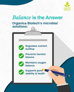 Aquaponics fish farming - BIOCLEAN AQUA FISH - Product Image 4