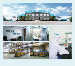 Mochila Portátil para Mascotas - Product Image 5