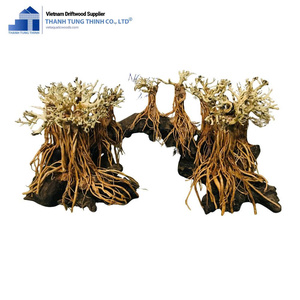 Les mieux notés Bonsaï naturel Bois flotté Décorations pour la maison Distribution mondiale Fabriqué au Vietnam - Product Image 1