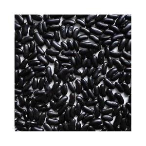 Frijoles de riñón negros Venta al por mayor Frijoles de riñón negros oscuros con exportación Frijoles de riñón negros de alta calidad - Product Image 1