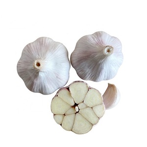 <b>Fresh</b> High Quality Pure White <b>Garlic</b> Thailand <b>Fresh</b> <b>Garlic</b> Wholesale - Product Image 1