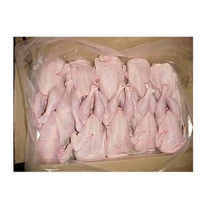 Fournisseur de qualité supérieure Poulet entier halal congelé Viande transformée de poulet halal du Brésil - Product Image 4