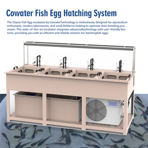 Cowater 300000-500000 trứng nở MC lọ CW-HF-04 nhựa cá rô phi trứng lồng ấp cho cá giống sử dụng - Product Image 4