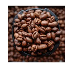 Кофейные зерна премиум класса Gayo Arabica 223, качественные кофейные зерна