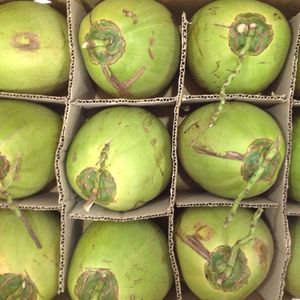 มะพร้าวอ่อนสดคุณภาพสูงจากเวียดนาม ราคาสมเหตุสมผล ผลิตภัณฑ์ทางการเกษตร - Product Image 3