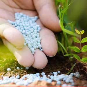 Fournisseur en gros d'engrais à base de nitrate soluble pour l'agriculture pour plantes d'intérieur, succulentes et hydroponiques - Product Image 4