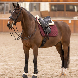 Equitation Produit équestre Polo Selle Pad Série Fabricant professionnel Personnaliser la conception et la couleur Matériel d'équitation - Product Image 2