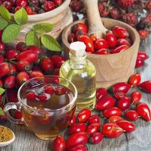 Huile de transporteur d'églantier 100% pure Huile de transporteur d'églantier en gros Huile de transporteur d'églantier naturelle et pure - Product Image 1