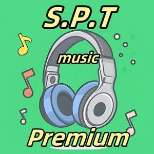 Comptes personnels individuels Spotify Premium de 12 mois, musique stable, invitations non familiales - Product Image 5