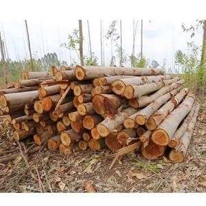 Pilier en bois utilisé dans la construction et le jardin fabriqué au Vietnam. - Product Image 6