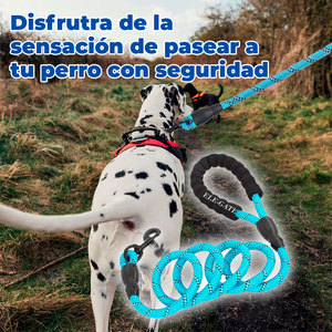 Guinzaglio per Cani di Lusso Solido e Resistente da 1 Metro, con Manico Imbottito in Nylon, Sgancio Rapido, Funzionalità Personalizzabili, Stile Classico per Collare per Cani - Product Image 2