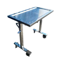 Chariot médical en acier inoxydable MEI de classe II avec deux étagères et roulettes pour usage médical