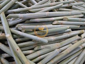 Jus de canne à sucre biologique surgelé IQF, best-seller du Vietnam, prix avantageux - Product Image 4
