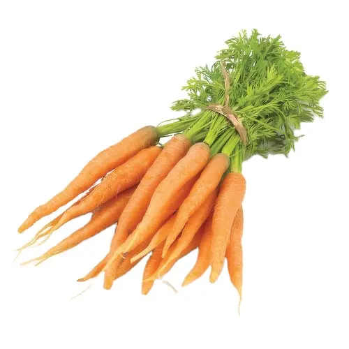 Nouvelle récolte de carottes fraîches biologiques importées de Chine en gros à vendre