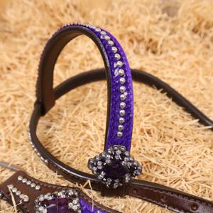 Turquoise <b>Tooled</b> Cactus Genuine Leather Horse Tack Set Includes Headstall Breast Plate Saddles Seasonal Western Horse Full Set - Product Image 3