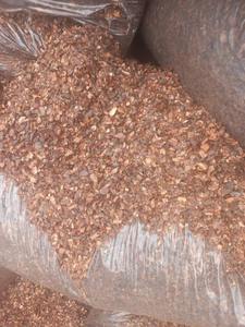 Compre cáscara de cacao residual agrícola de primera calidad para mantillo de jardín y enriquecimiento del suelo con entrega rápida - Product Image 4