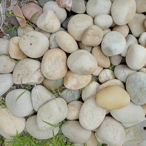 Camino de jardín blanco y diseño de jardín guijarros usados/Decoración de fuente guijarros de piedra de muestra - Product Image 1