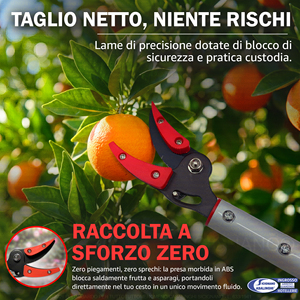 Tijeras Resistentes para Frutas y Espárragos con Mango de Plástico de 80 cm - Product Image 2